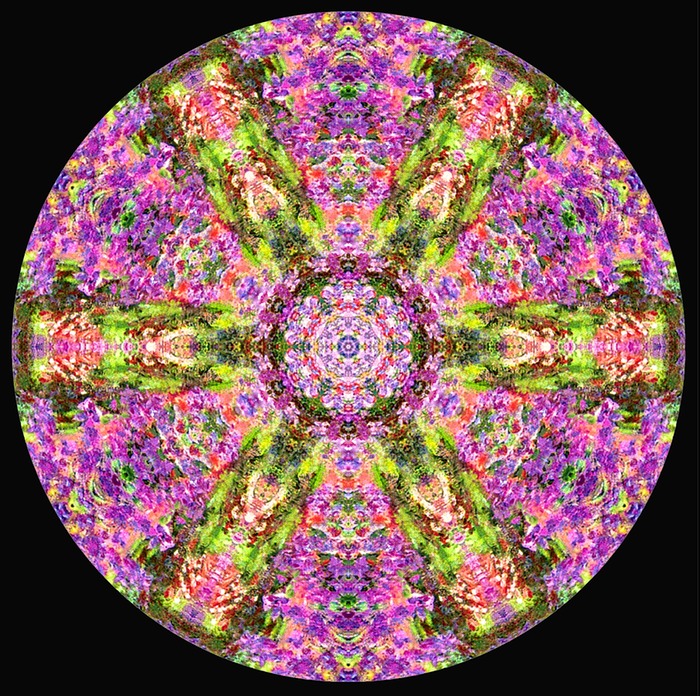 Mandala Chakra OS EB